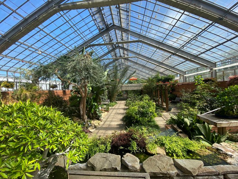 Indoor Plant Rooms Turn Bad Weather Into Fun