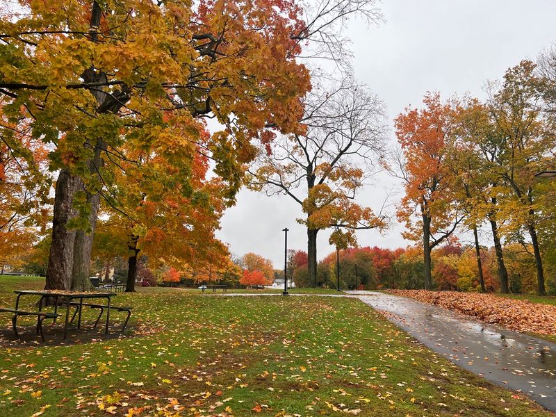 A Handy West Hartford Location