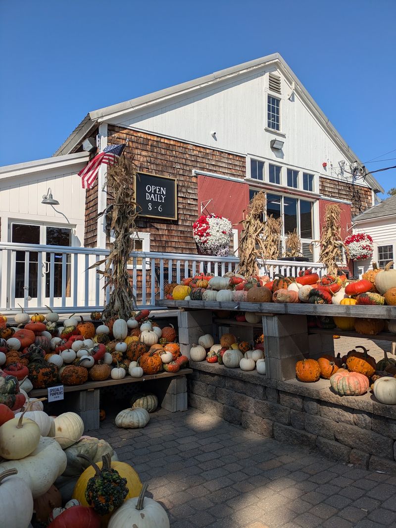 A Classic New England Fall Day Begins at Cider Hill Farm