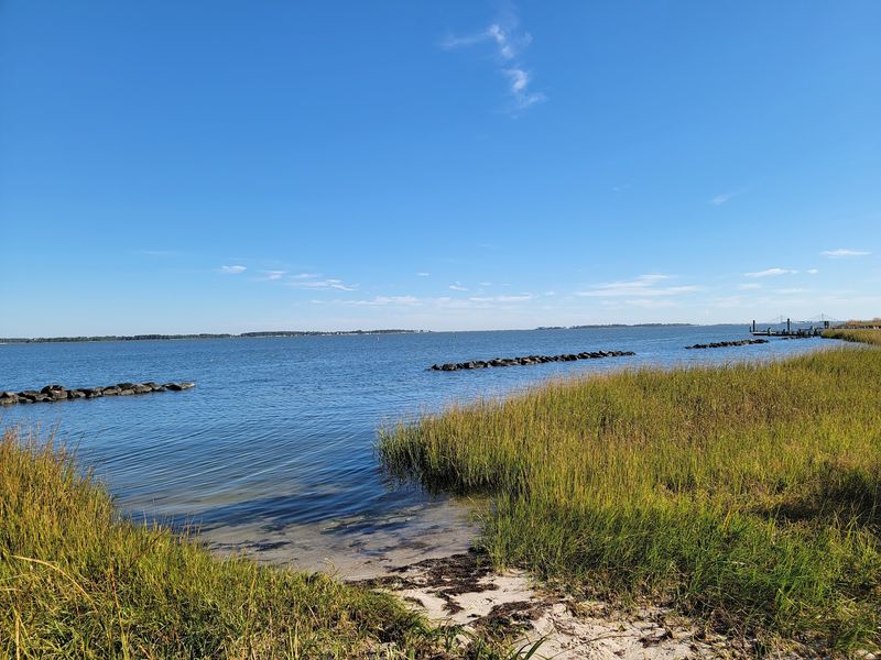 Holts Landing State Park Trails - Dagsboro