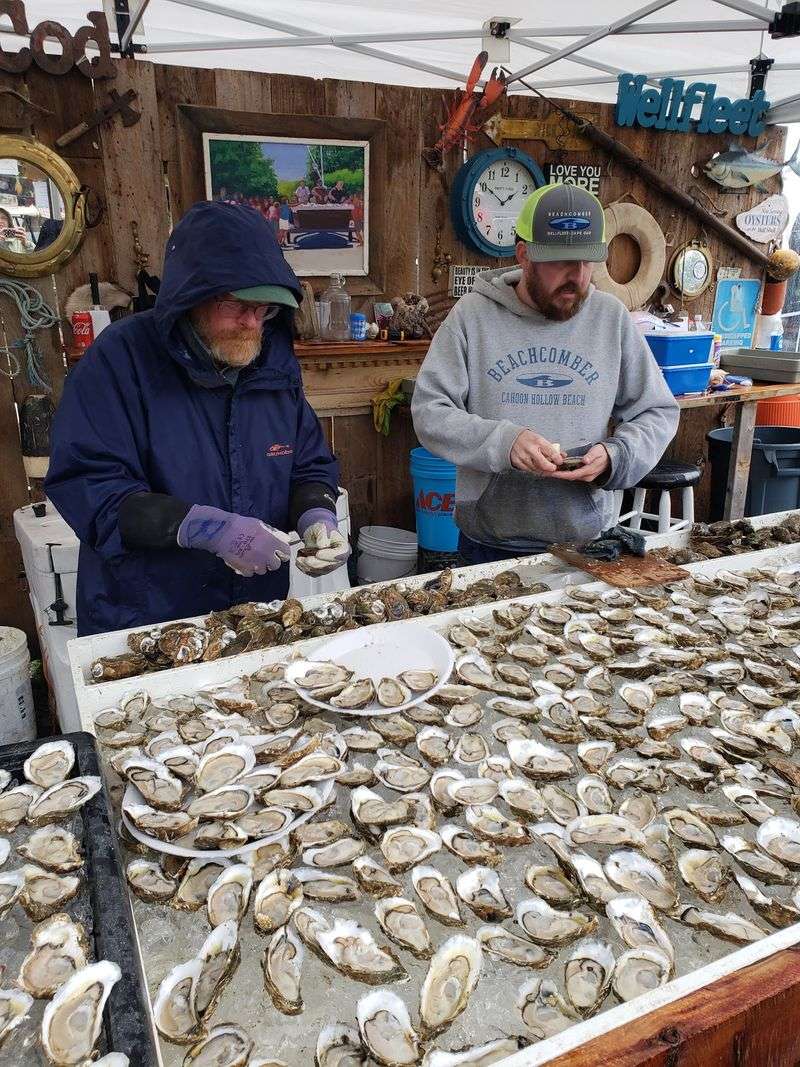 The Briny Call of the Atlantic