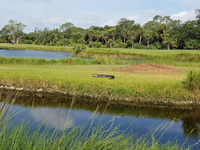 The Island Is Named After Captain Johannes Fripp