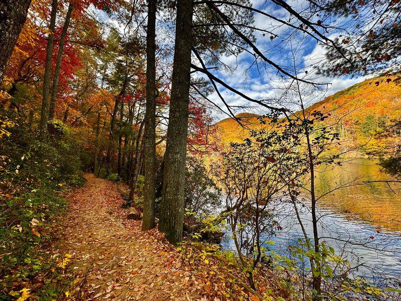 Bear Hair Gap Trail, Vogel State Park, Blairsville