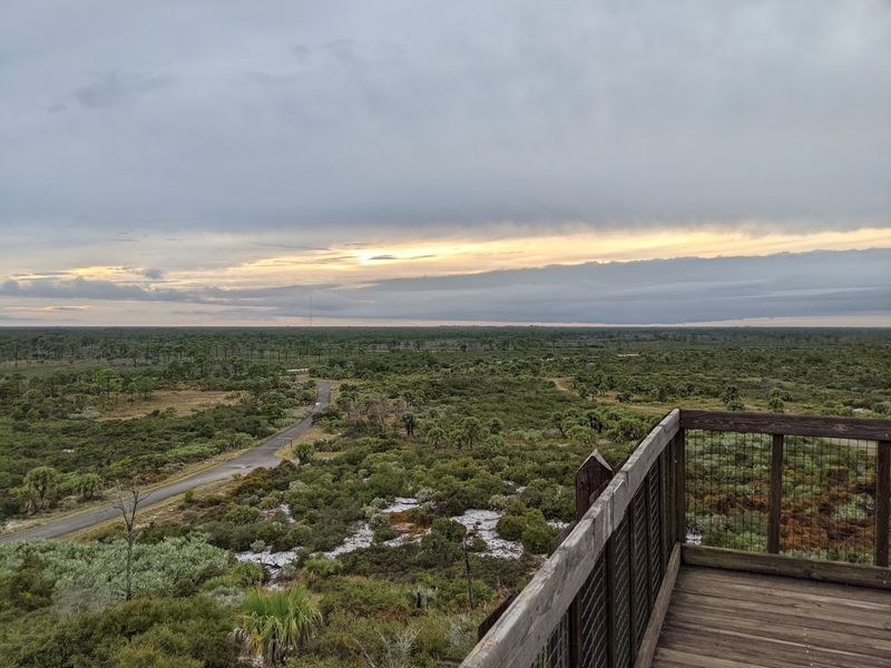 Hobe Mountain Trail - Jonathan Dickinson State Park