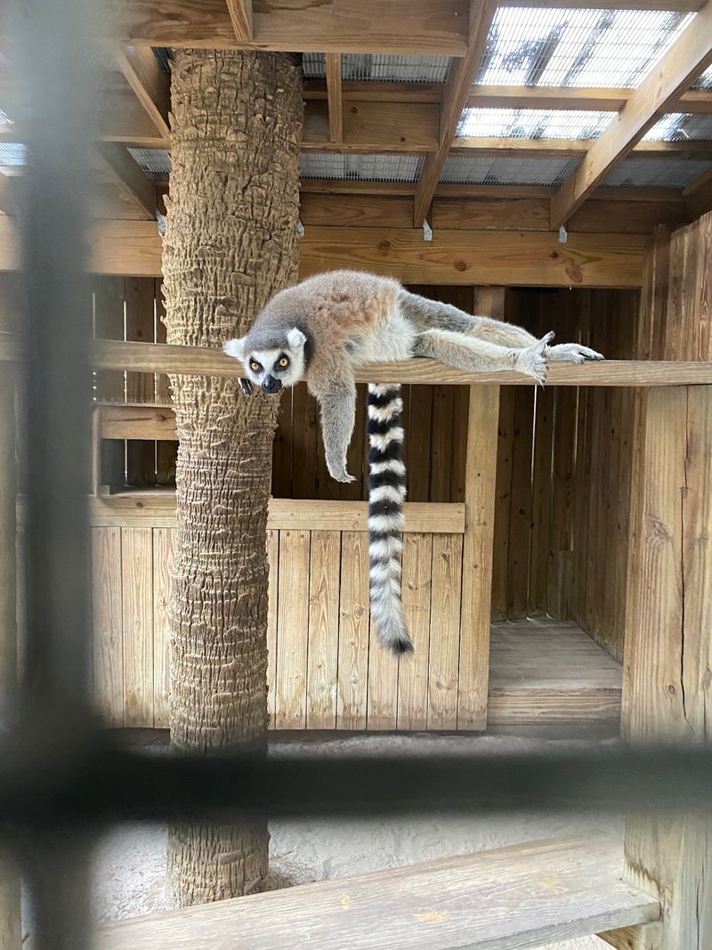Animal Encounters Worth Planning Ahead For