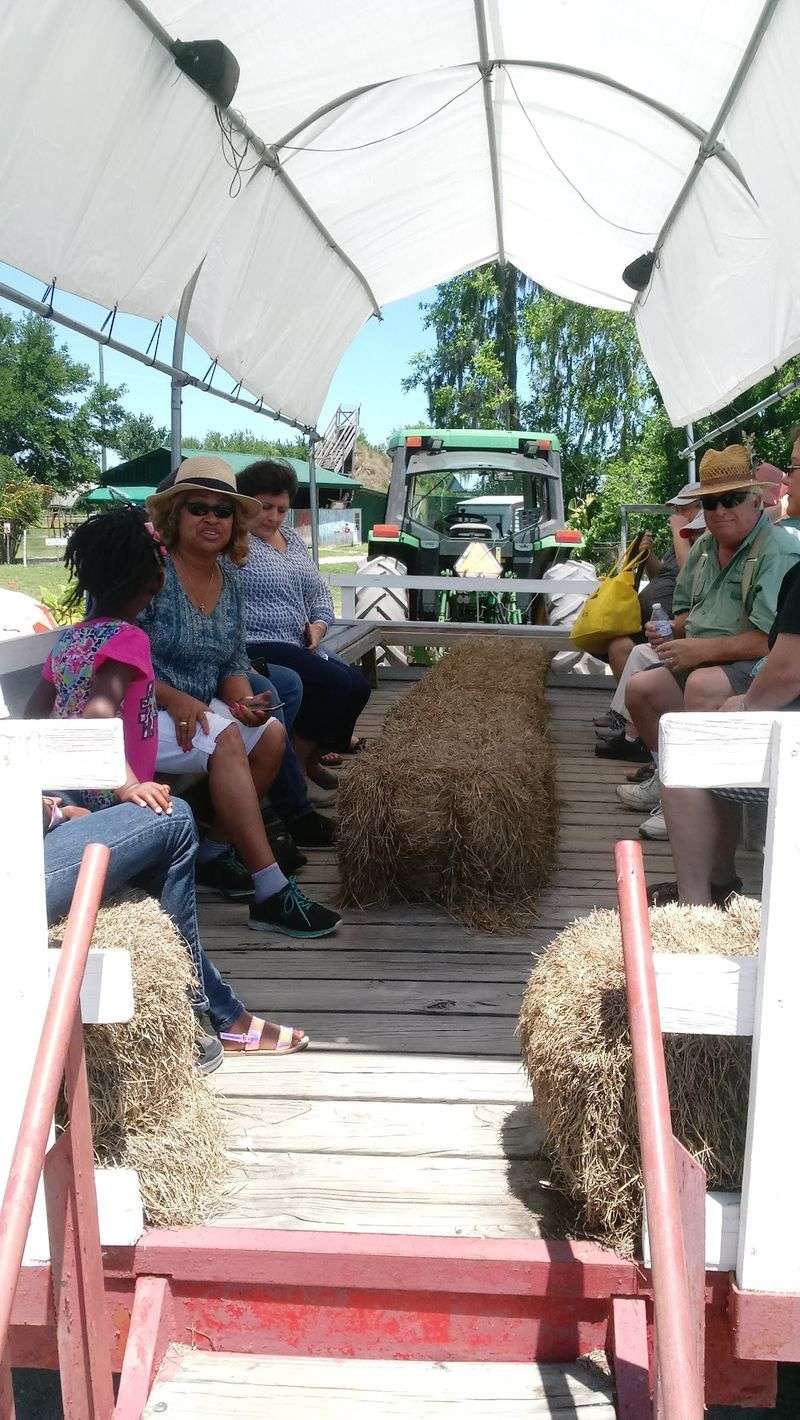 Take A Tractor-Drawn Hayride Around The Farm