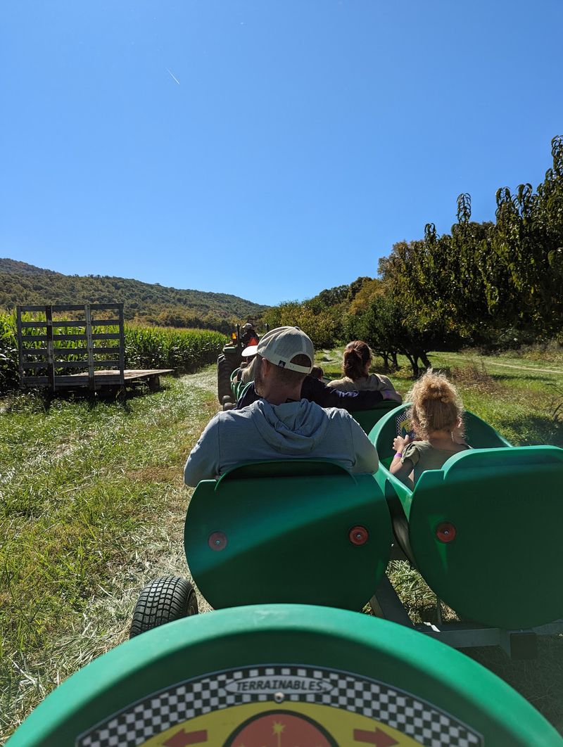Take a Hayride Around the Farm