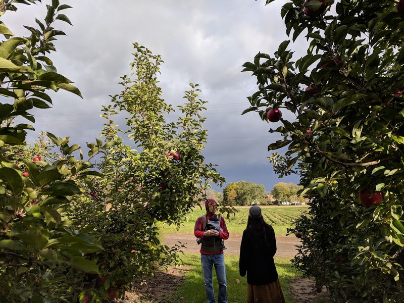 Barthel Fruit Farm: A Harvest With History