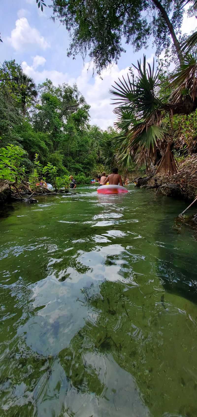 Blue Spring State Park - Orange City