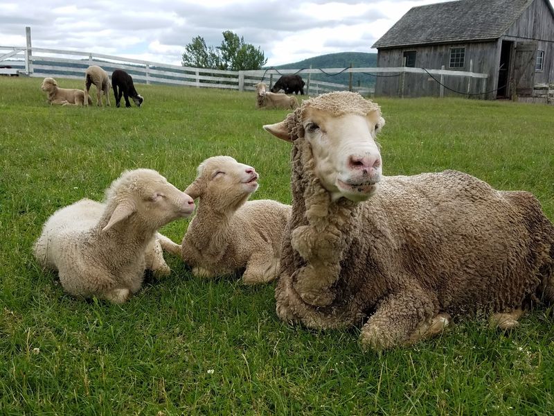 Plan a Comfortable Family Visit
