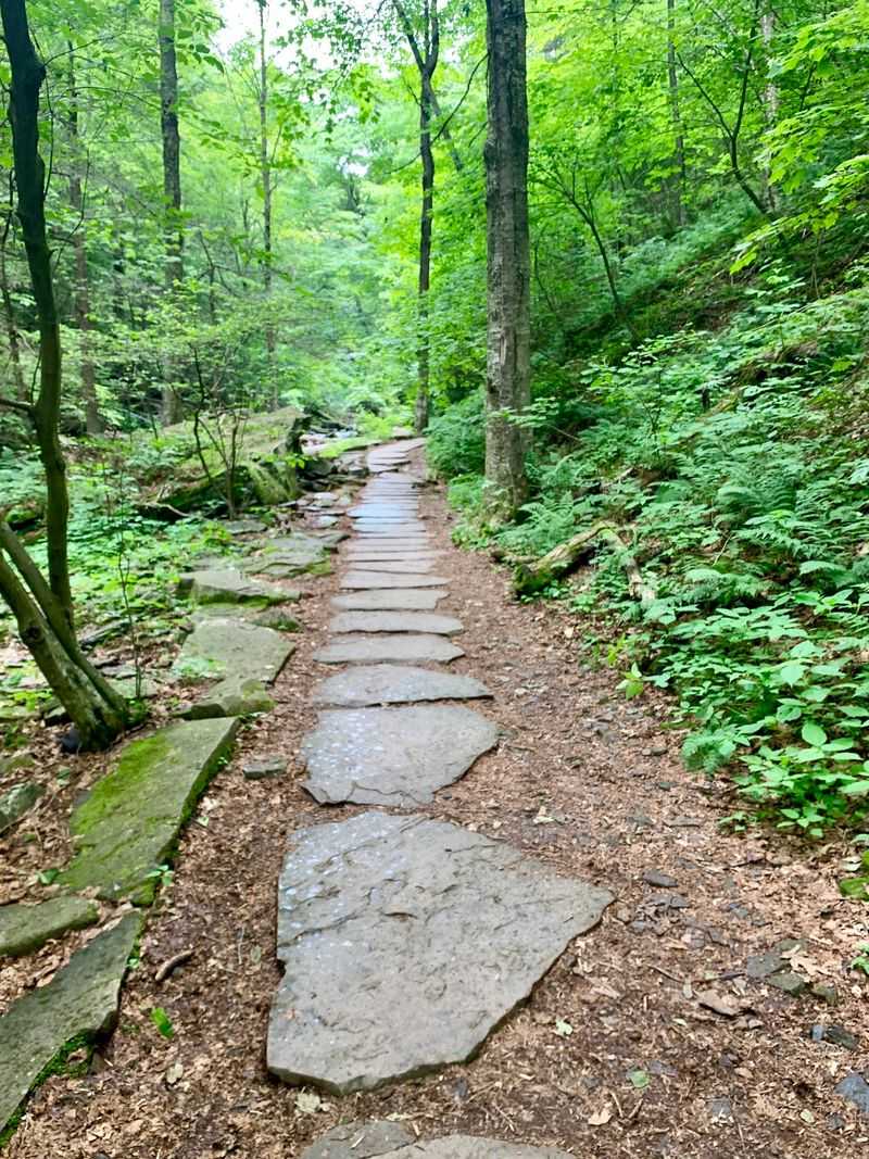 Ricketts Glen Falls Trail, Benton and Luzerne County