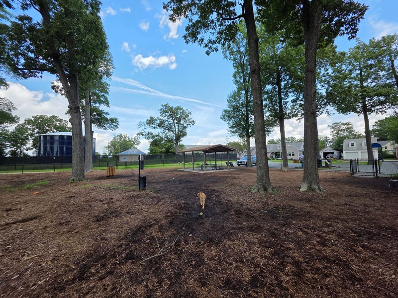 Colonial Beach Public Dog Park - Colonial Beach