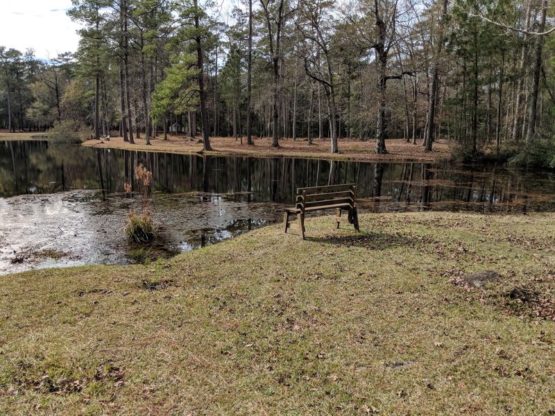 Sipping From Old Artesian Wells