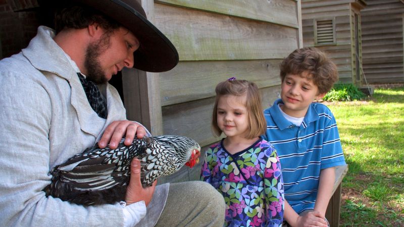 Island Farm - Manteo