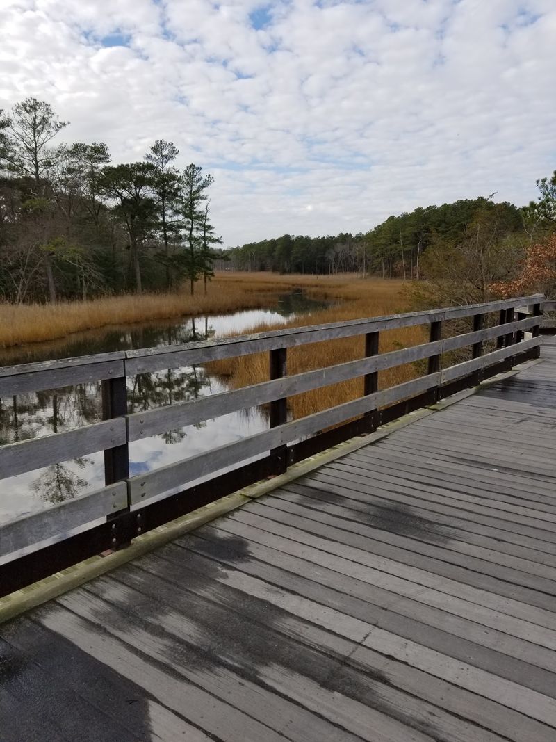 Junction and Breakwater Trail