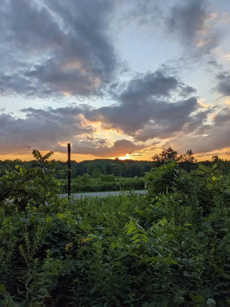 Overlook Trail at Highbanks Metro Park