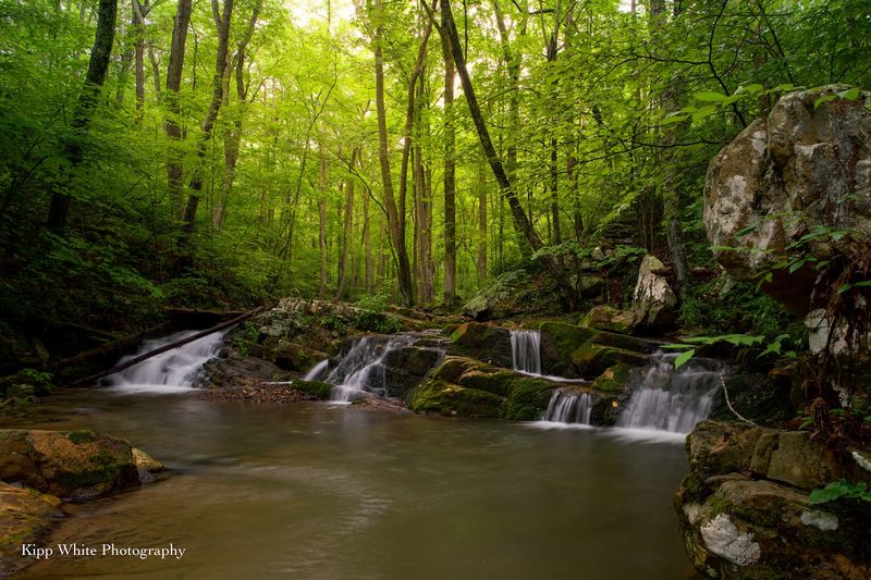 Roaring Run Recreation Area - Eagle Rock