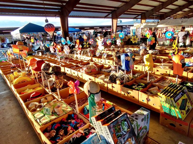 Houston's Big Open-Air Search