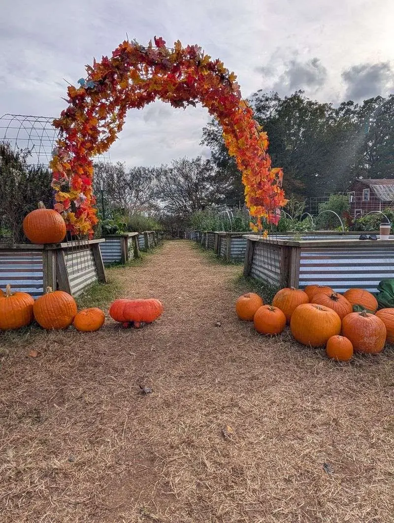 Hodges Family Farm & Pumpkin Patch - Charlotte