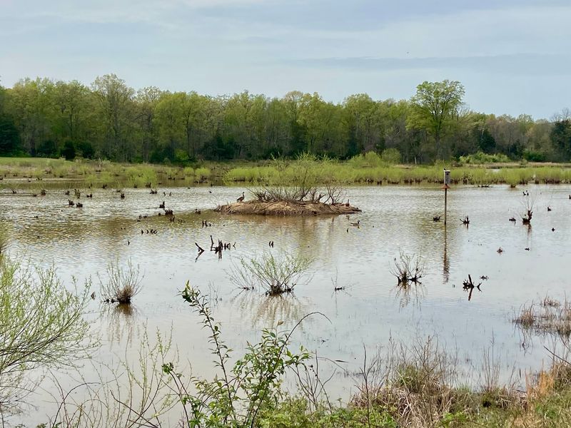 Leopold's Preserve - Broad Run