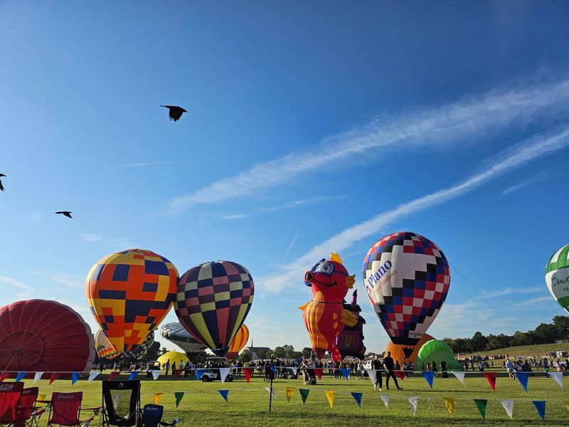 Plano Balloon Festival in Plano, Collin County