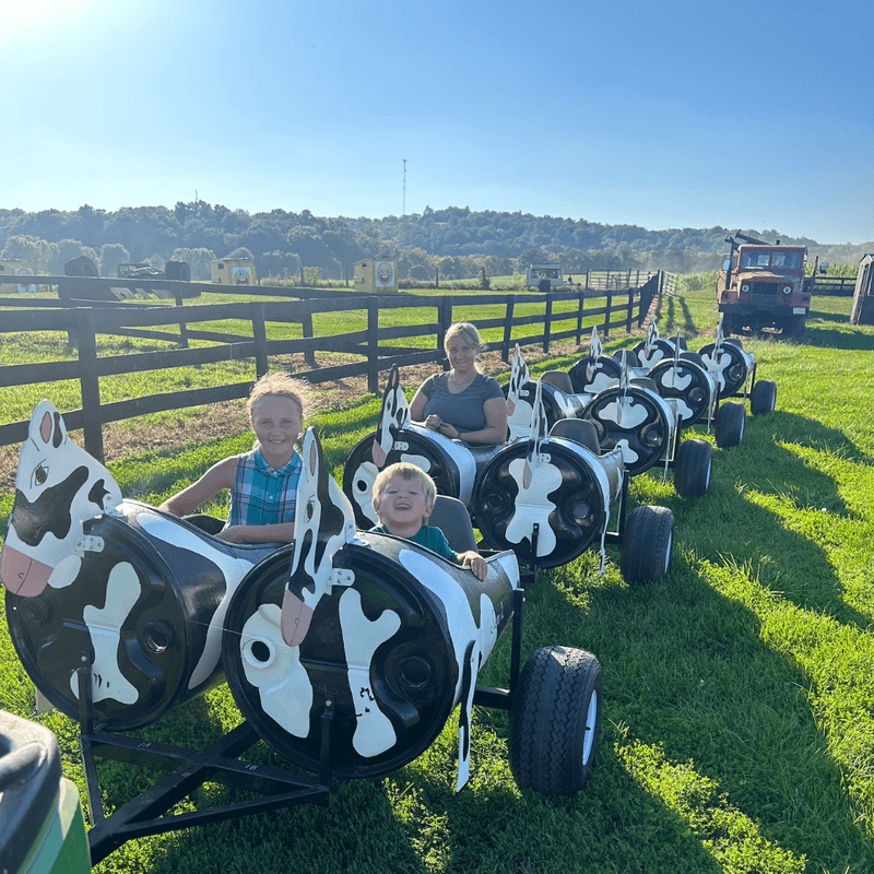 Fall Festival at Round Hill Farm - Culpeper