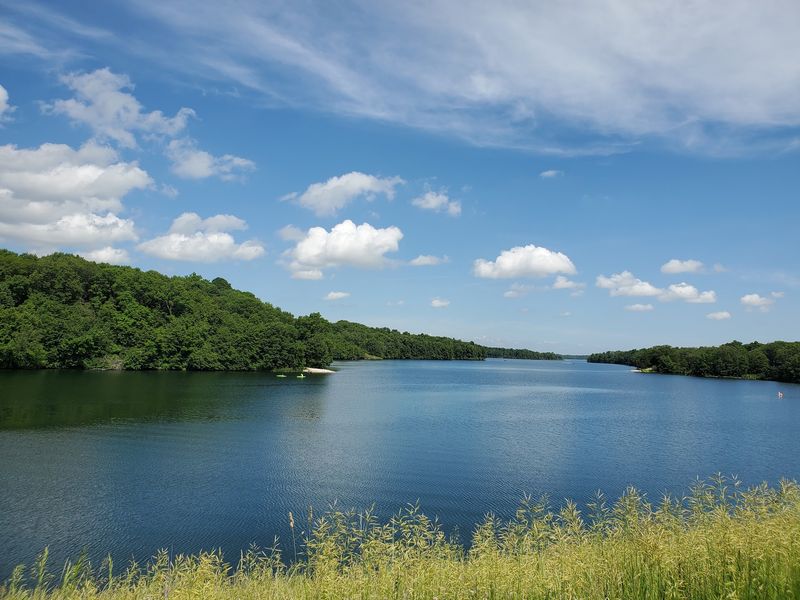 Big Creek State Park - Polk City