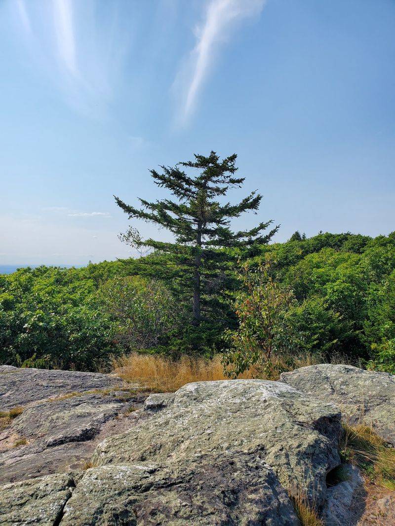 Mount Watatic - Ashburnham/Ashby