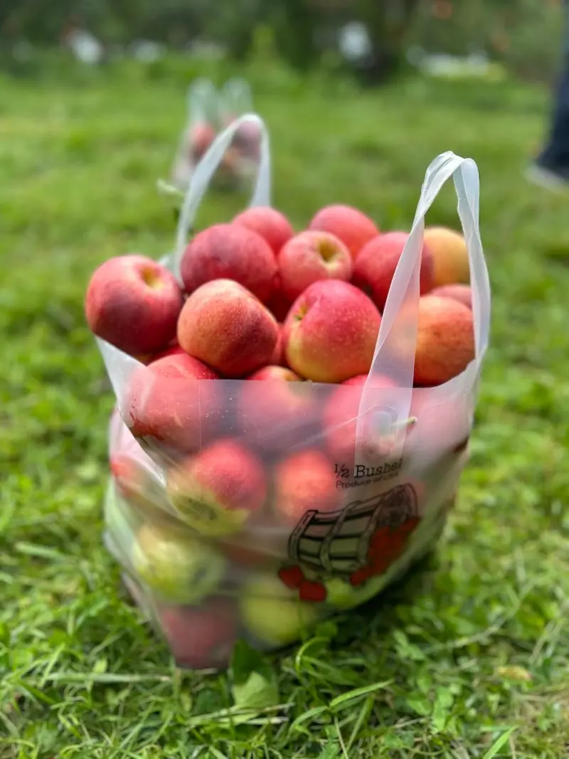 Hartland Orchard - Markham