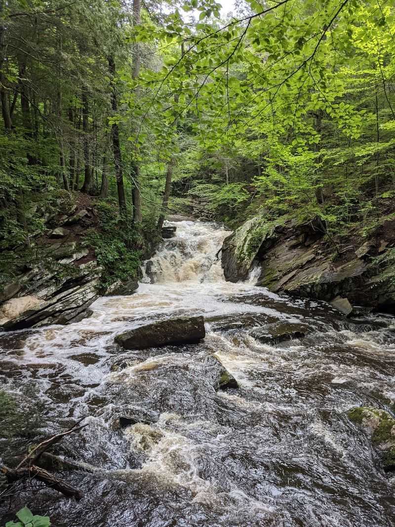 Saugatuck Falls Natural Area - Redding