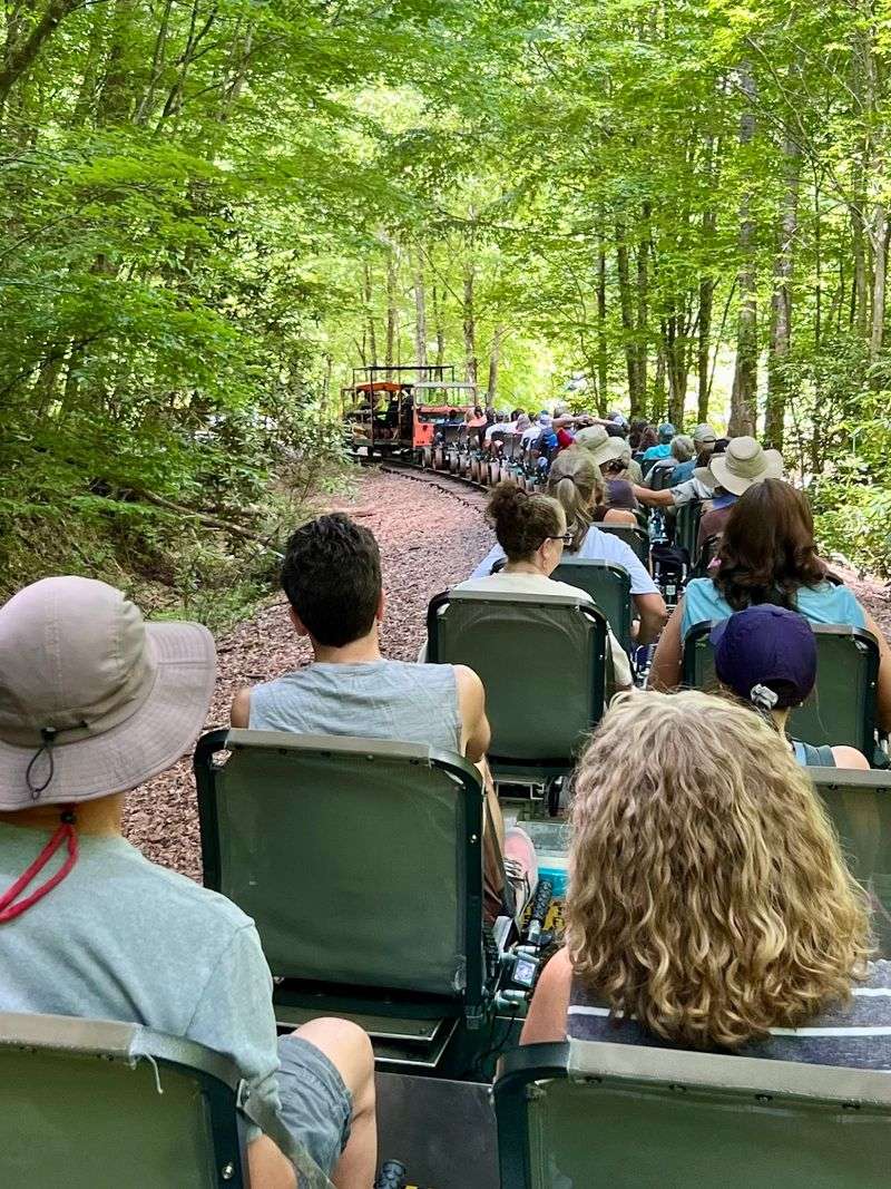 Andrews Valley Rail Tours - Passenger Cart Ride, Andrews