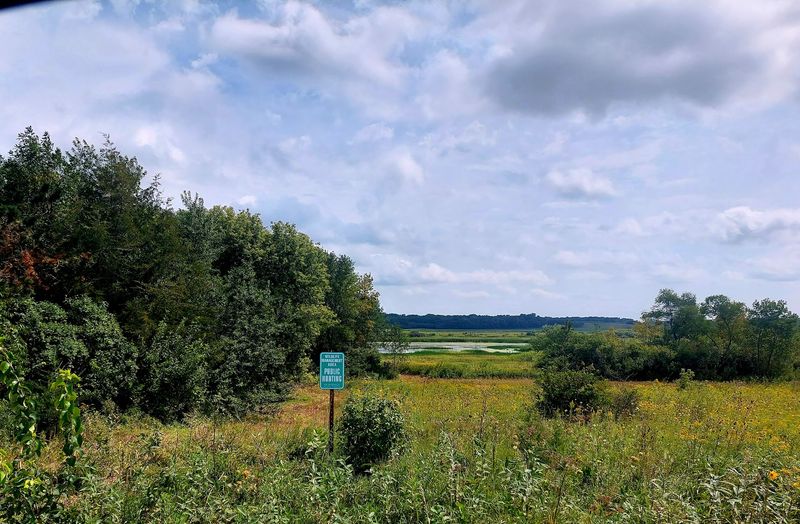 Cardinal Marsh Wildlife Management Area in Ossian, Winneshiek County,