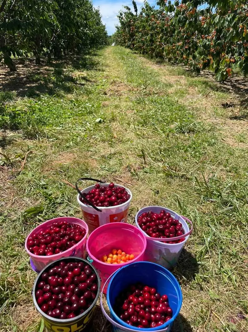 Ridgetop Orchards - Fishertown