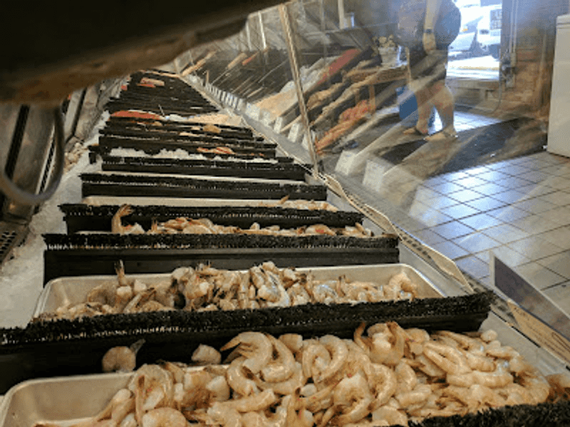 Shrimp in Every Size and Mood