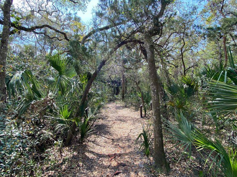Ancient Dunes Nature Trail - St. Augustine