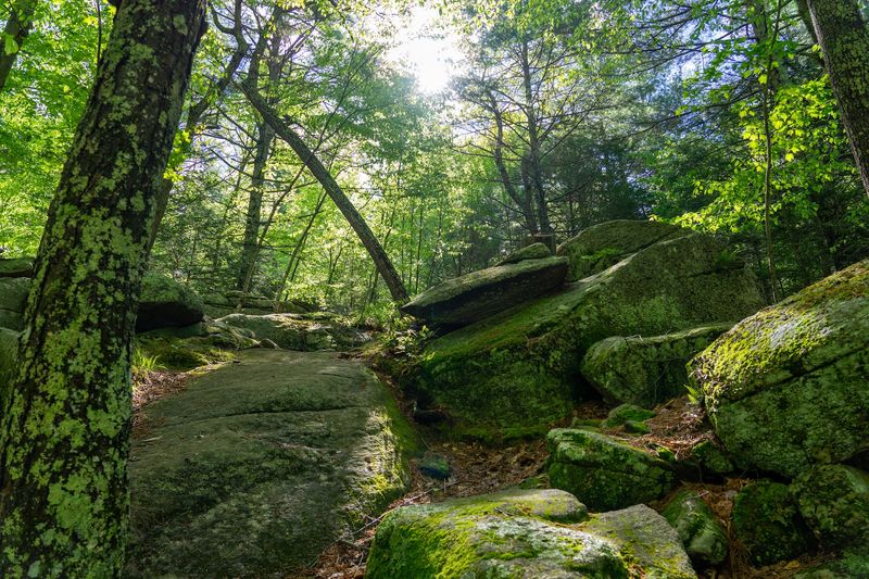 Purgatory Chasm Loop - Sutton