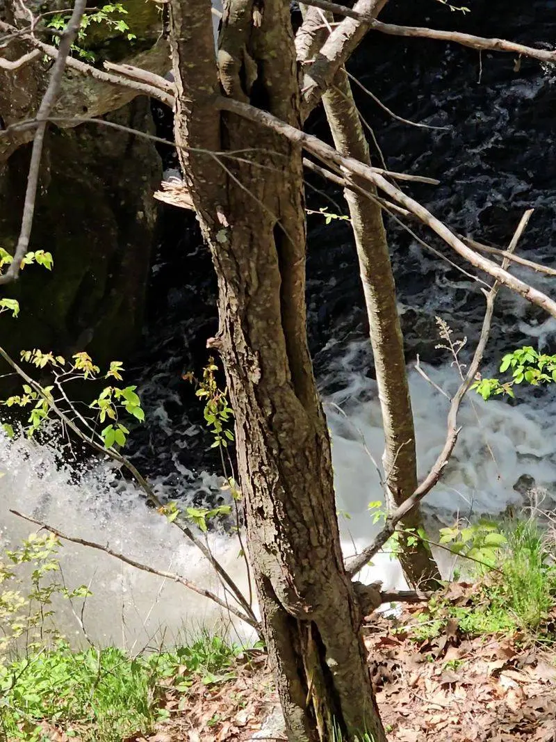 Doane's Falls Trail, Royalston, Worcester County