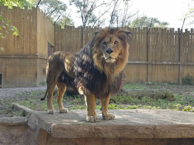 A Smaller Zoo That Feels Calm Instead Of Crowded