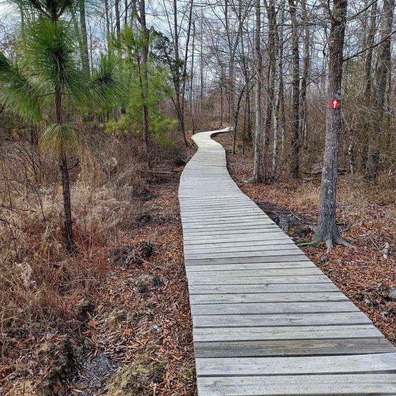 Cane Creek Mountains Natural Area - Snow Camp