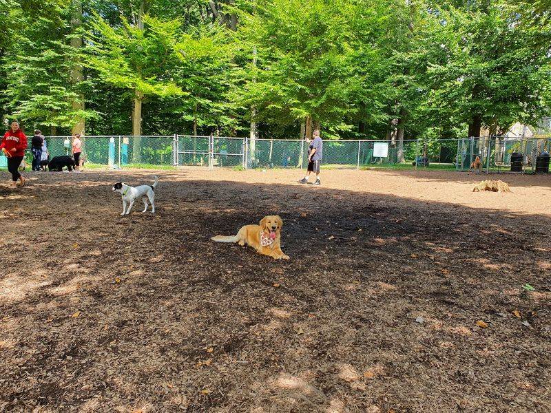 Horsham Dog Park