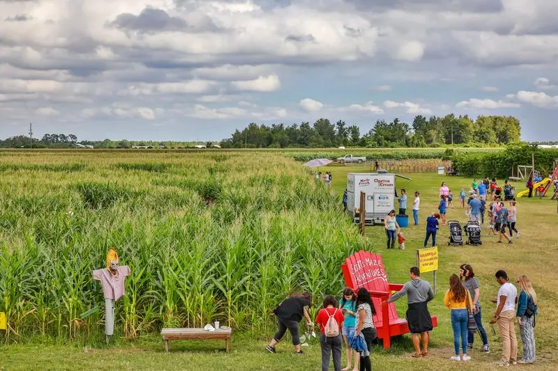 Long and Scott Farms - Mount Dora