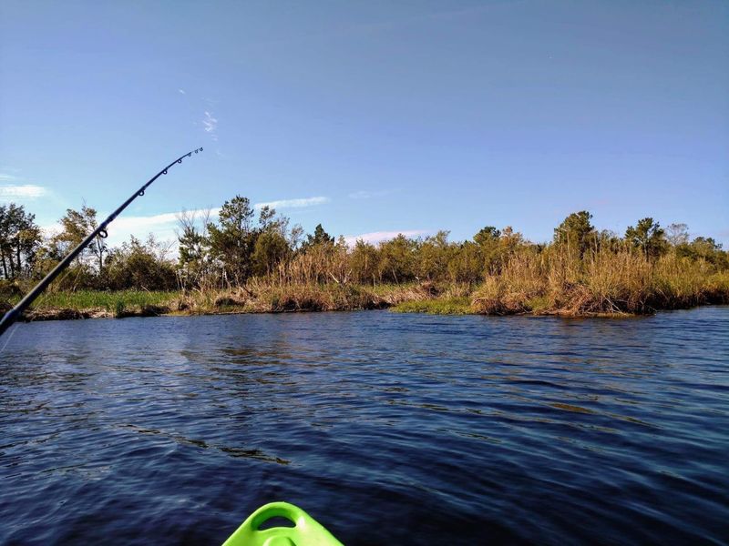 New River - Forested Sections Near Jefferson