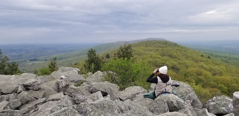 The Ridge That Carries the Birds