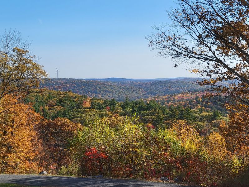 Dennis Hill Summit Trail
