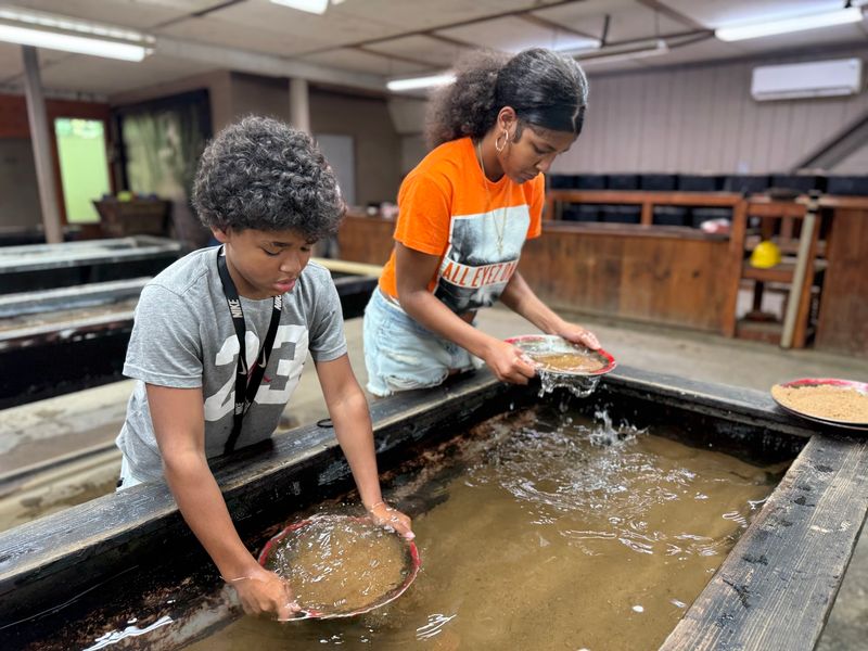 Try Your Luck At Gold Panning After The Tour