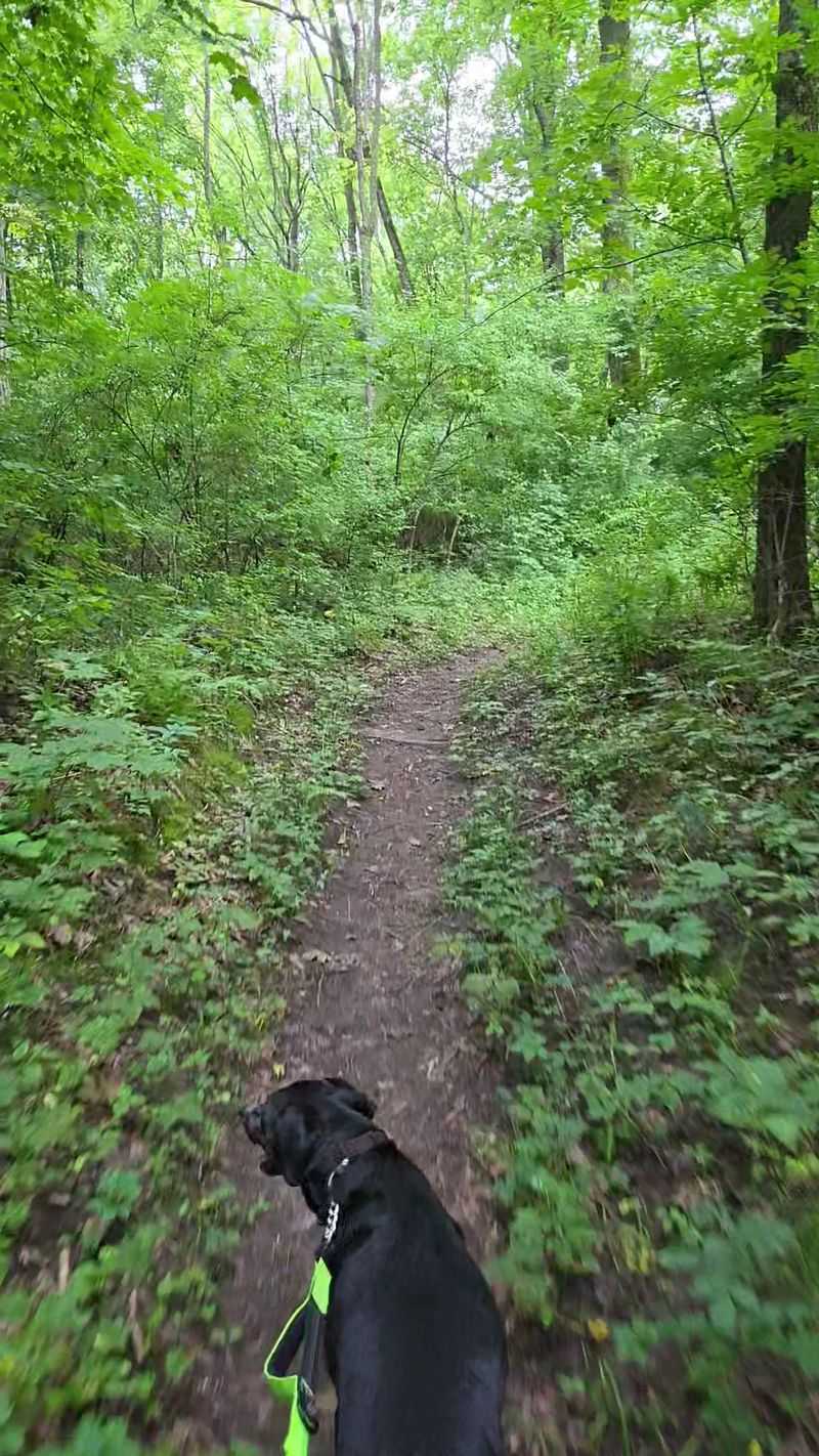 Amana Nature Trail