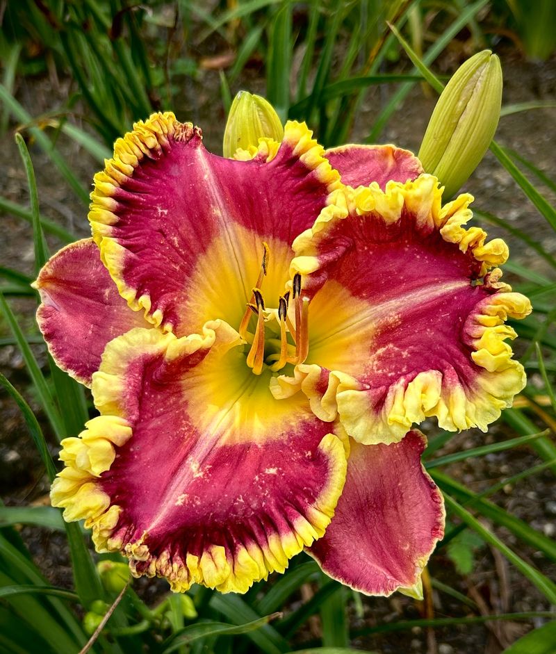 Why Flower Lovers Keep Returning