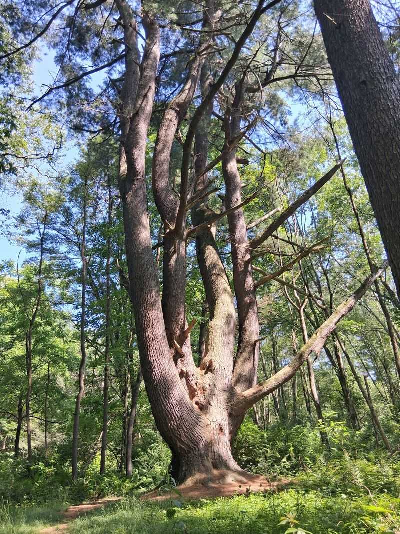 Frances Slocum State Park in Wyoming, Luzerne County,