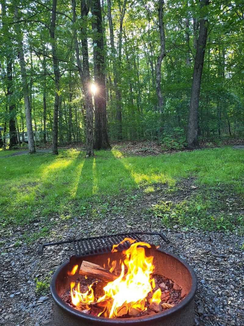 Black Moshannon State Park, Philipsburg