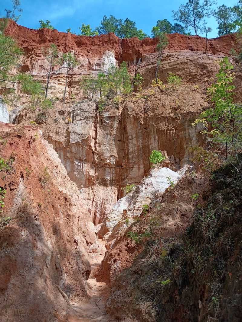Providence Canyon Trail, Lumpkin, Stewart County